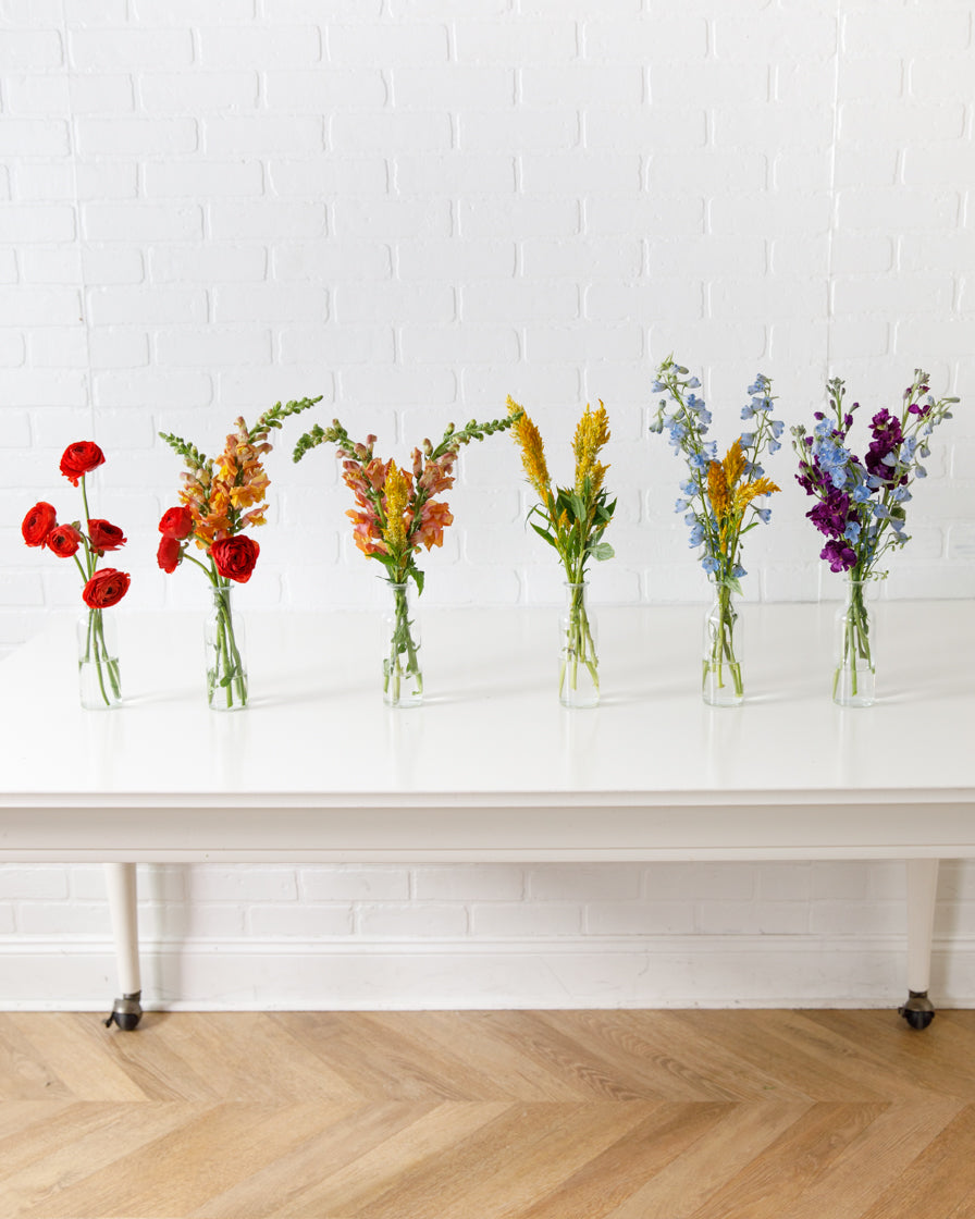 floral-arrangement-rainbow-bloom