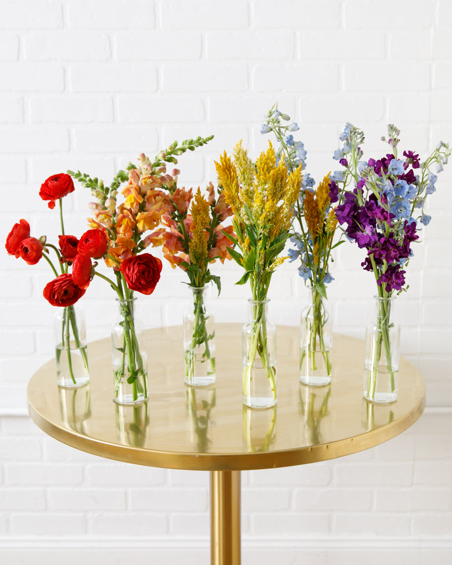 floral-arrangement-rainbow-bloom