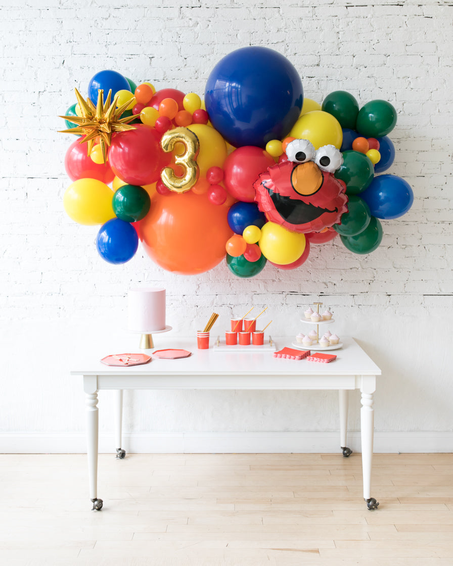 paris312-sesame-street-theme-backdrop-garland-number-elmo-balloon