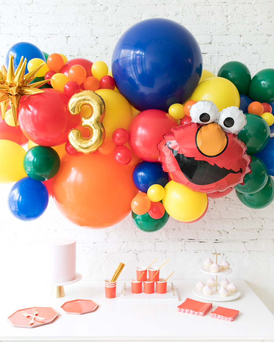 paris312-sesame-street-theme-backdrop-garland-number-elmo-balloon-air