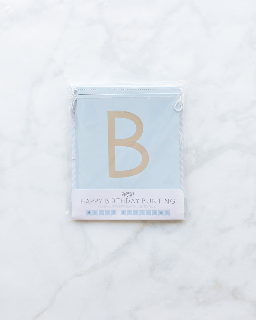 paris312-chicago-pastel-blue-birthday-bunting