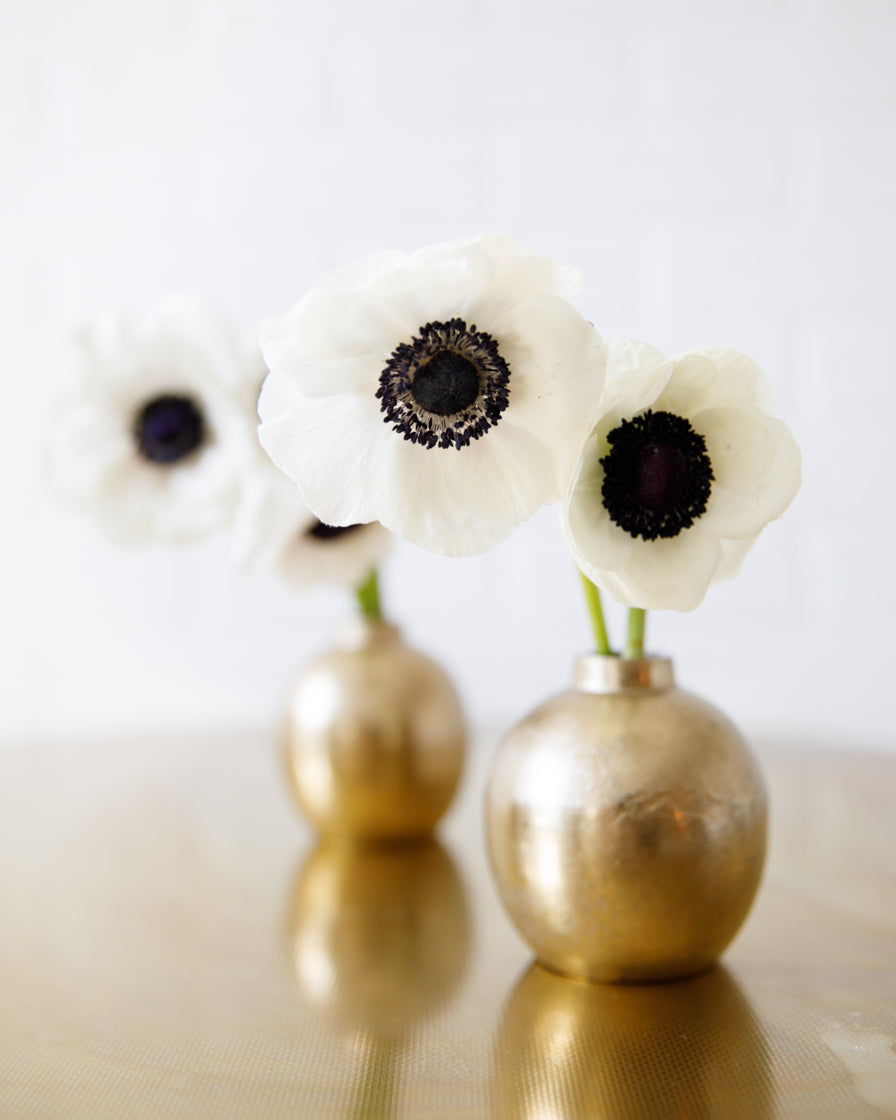 floral-minis-anemone-set
