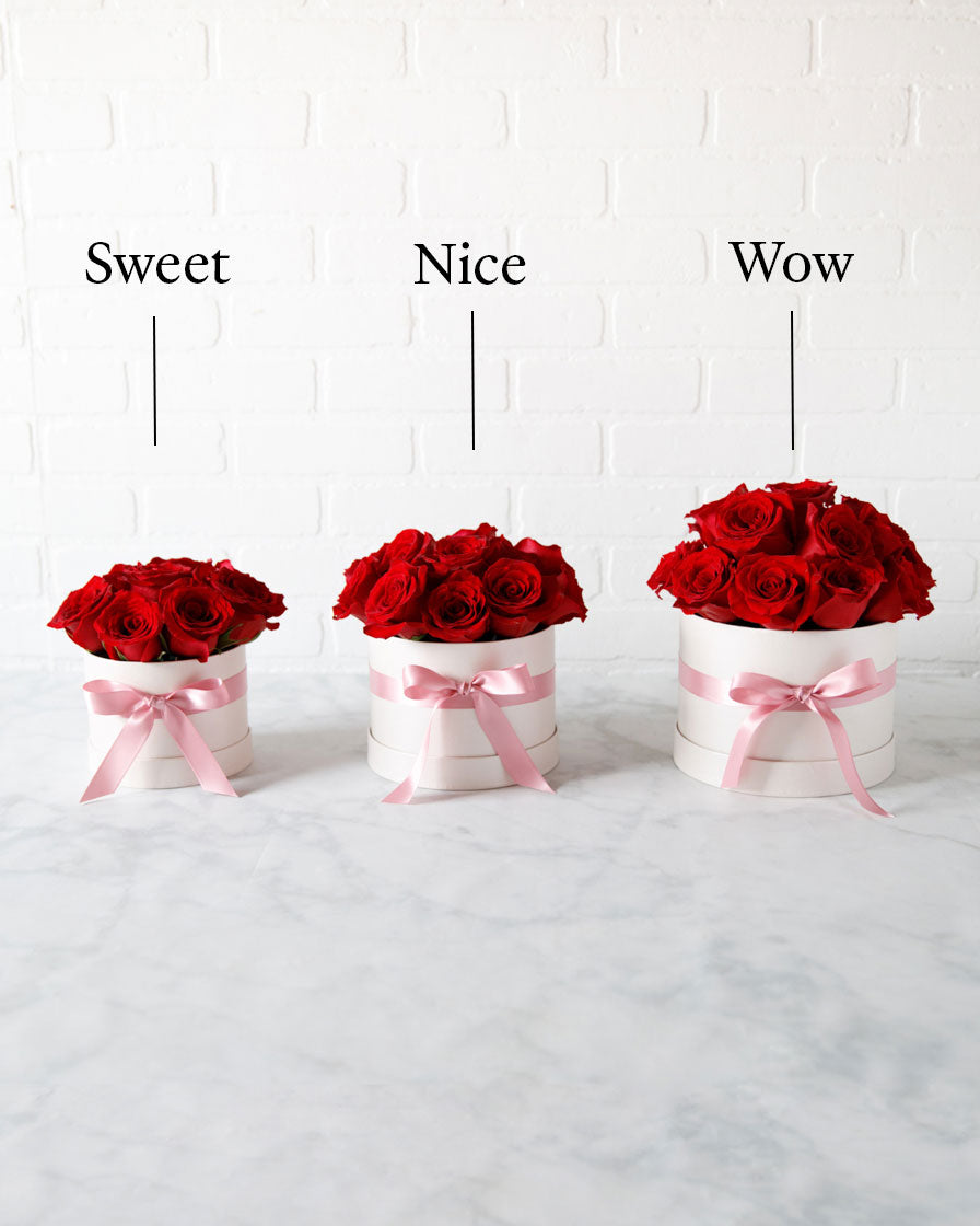 red-rose-bloom-box