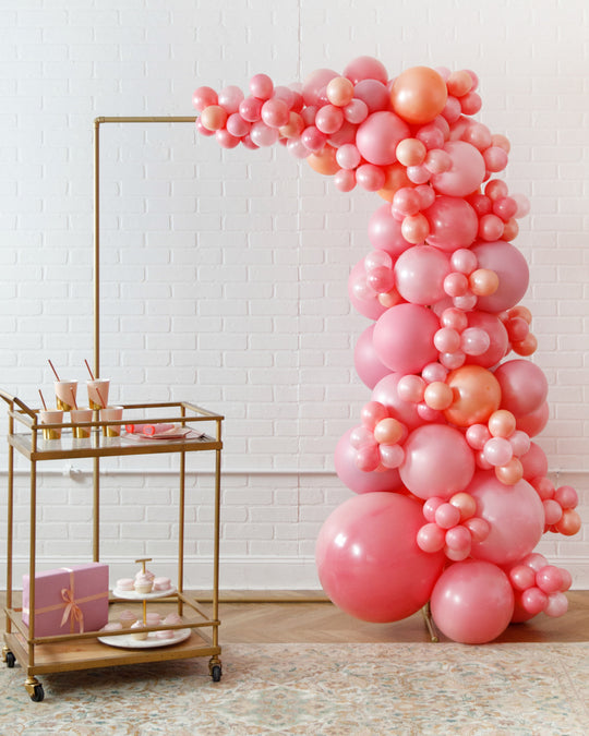 Rosé Bubbles - 4x6 Frame with Garland Install Piece