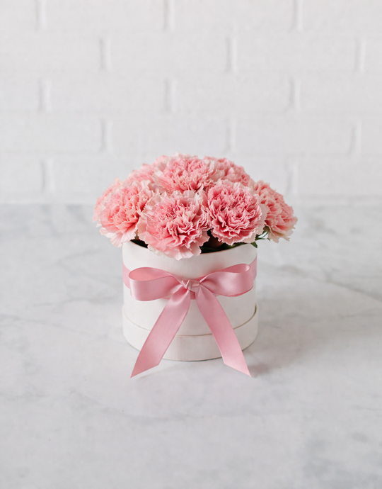Carnations Bloom Box