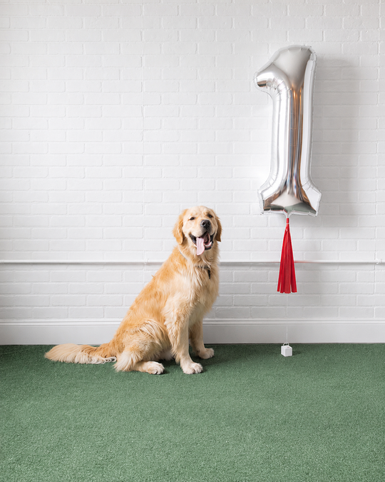 Can You Dig It - Individual Floating Foil Number with Skirt