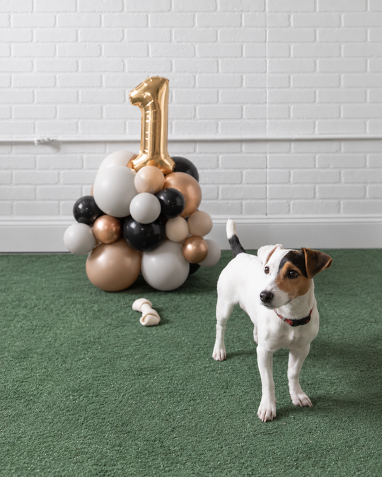 Demure Dog/Couture Cat - Number Pedestal - 1.5ft
