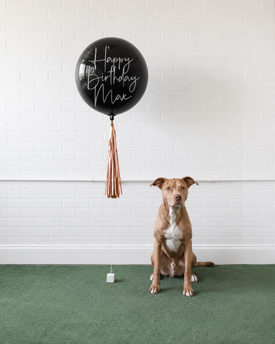 Demure Dog/Couture Cat - Orb with Midi Skirt