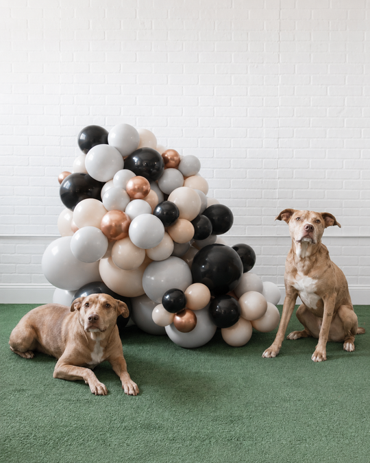 Demure Dog/Couture Cat - Organic Balloon Cluster - 3ft