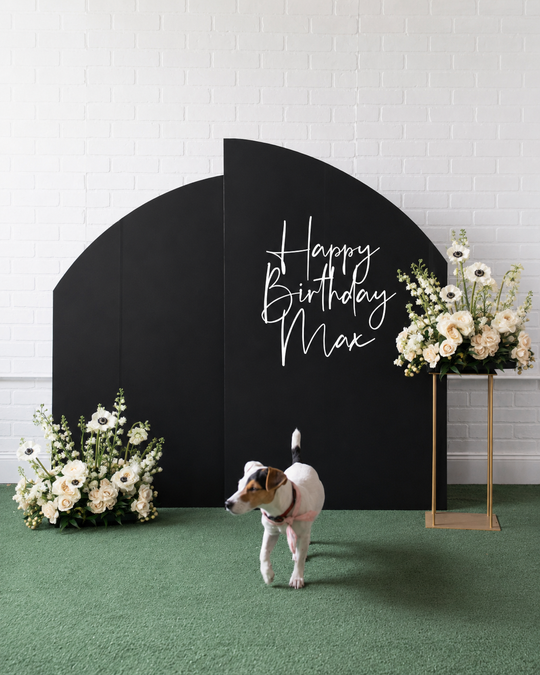 Demure Dog/Couture Cat- The Pawsome Panels