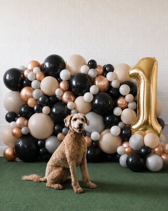 Demure Dog/Couture Cat - The Wall Wagger