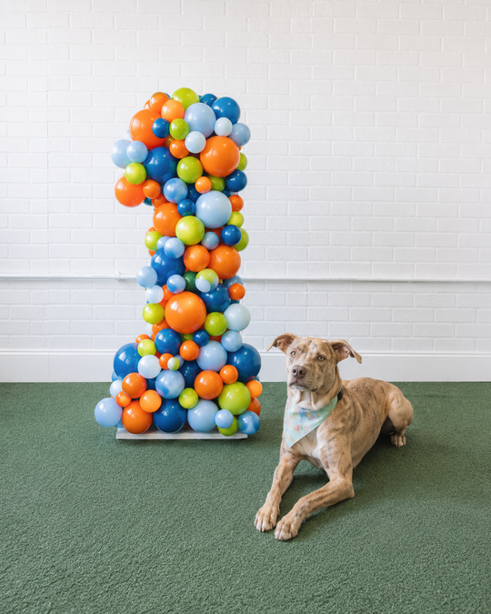 Go Fetch - Balloon Mosaic - 4ft