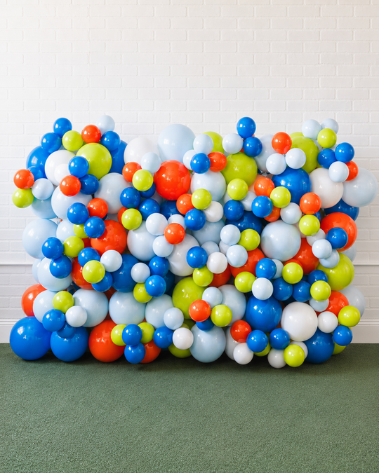 Go Fetch - Mini Balloon Wall - 4ft