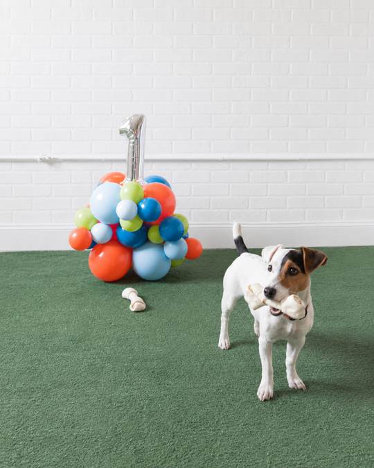 Go Fetch - Number Pedestal - 1.5ft