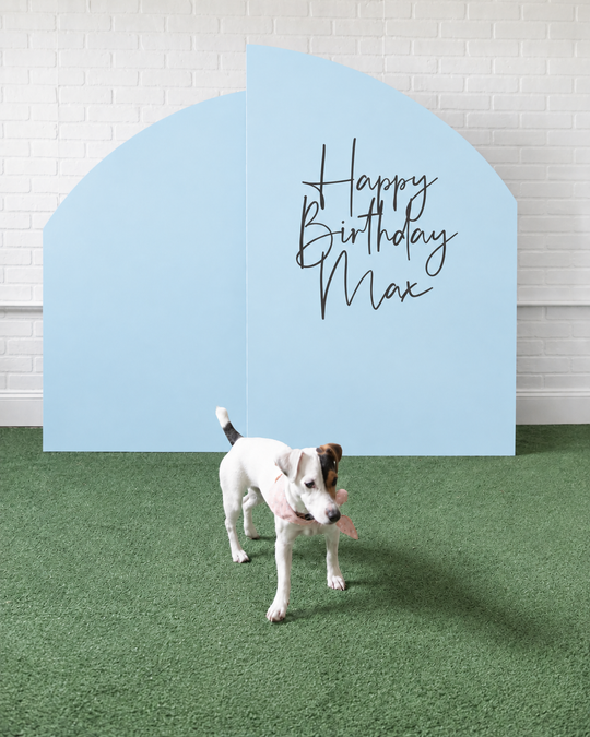 Go Fetch - Panel - 4ft