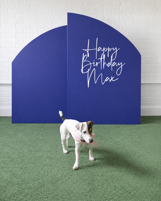 Go Fetch - Panel - 4ft