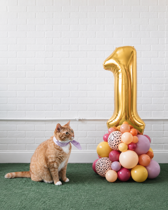 Meowza - 34in Number with Base