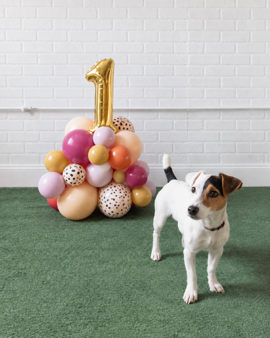 Meowza - Number Pedestal - 1.5ft