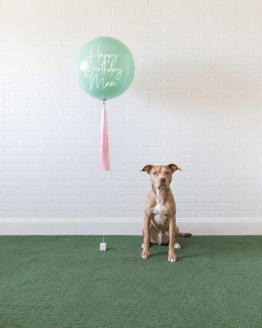 Can You Dig It - Orb with Midi Skirt
