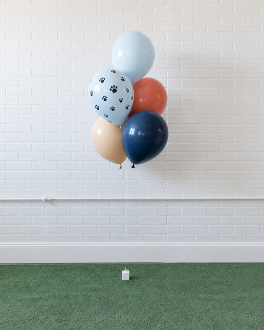 Paw Prince - 11in Balloons Bouquet