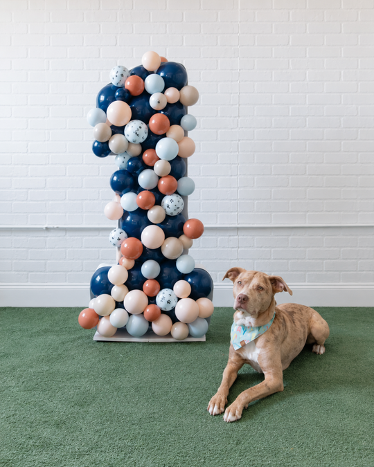 Paw Prince - Balloon Mosaic - 4ft