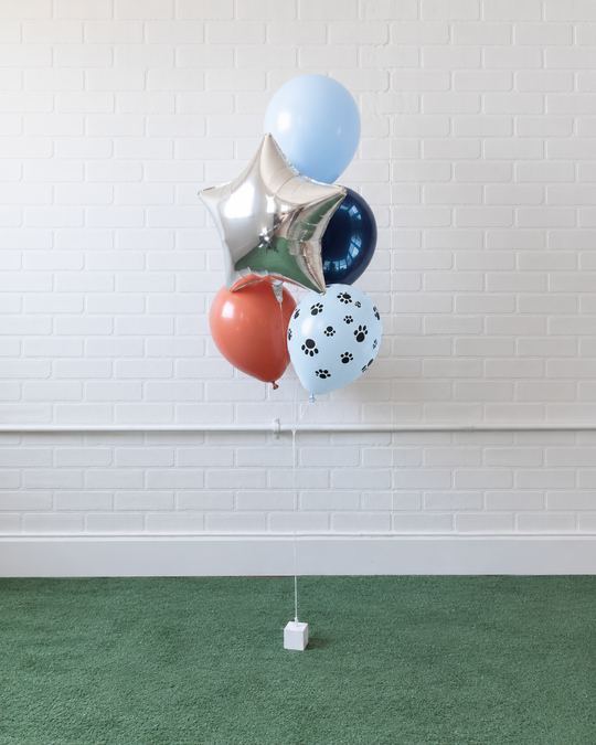 Paw Prince - Foil and 11in Balloons - bouquet of 5