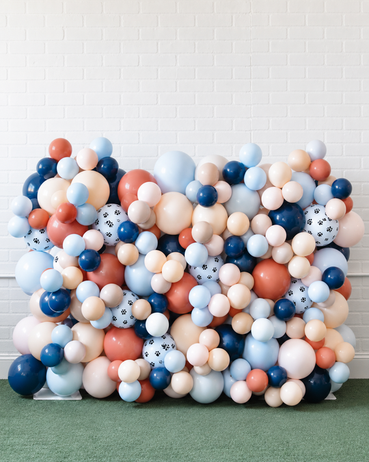 Paw Prince - Mini Balloon Wall - 4ft