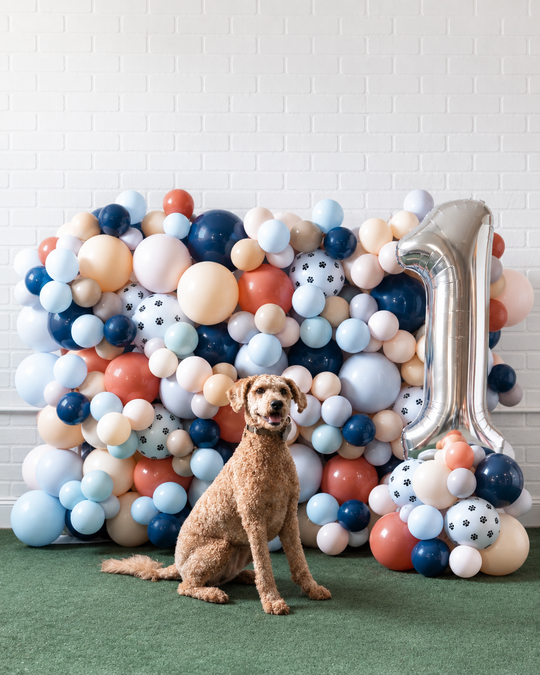 Paw Prince - The Wall Wagger