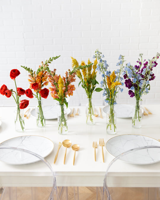 Rainbow - Floral Arrangements - Rainbow Bloom (set of 6)