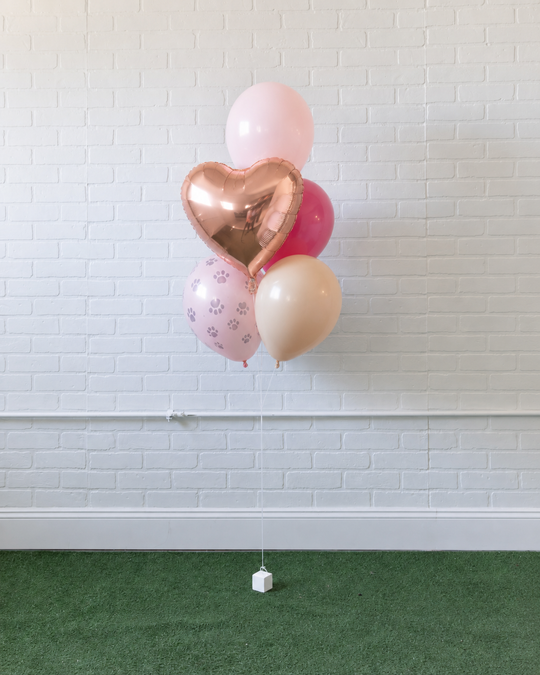 Princess Pooch - Foil and 11in Balloons - bouquet of 5