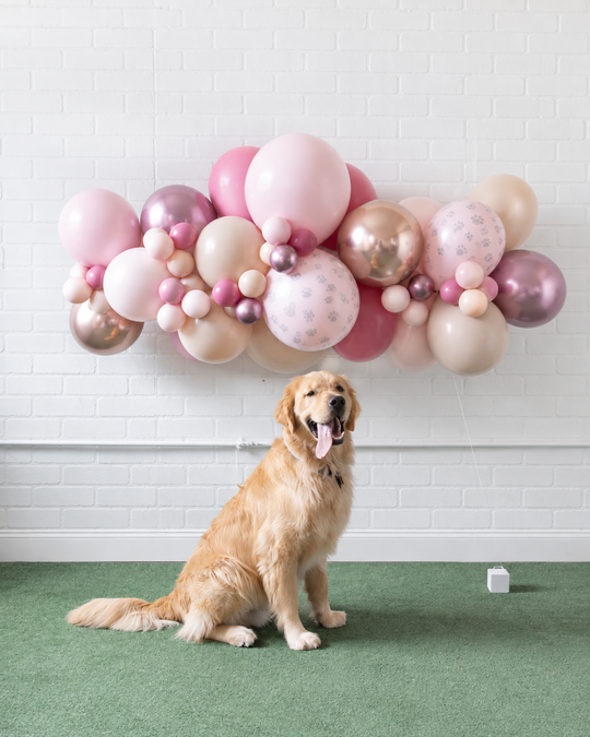 Princess Pooch - Mini Floating Arch - 4ft