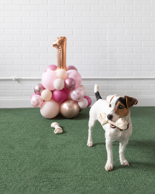 Princess Pooch - Number Pedestal - 1.5ft