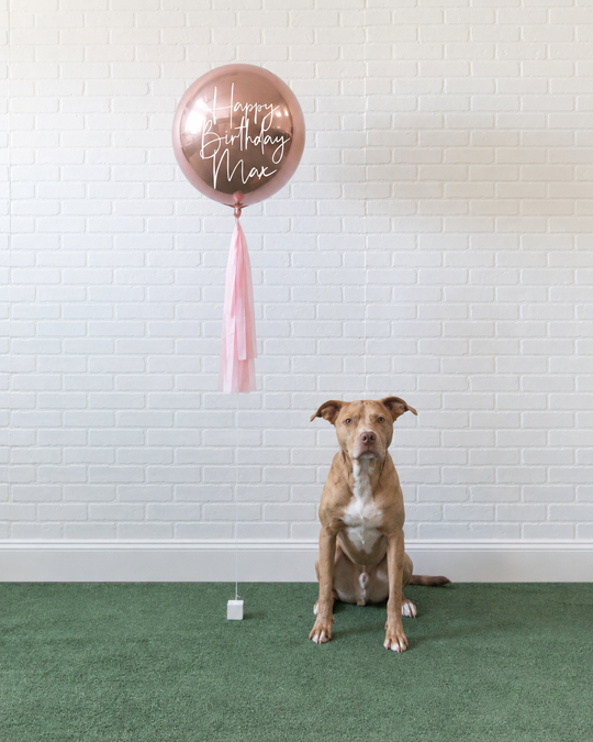 Princess Pooch - Orb with Midi Skirt