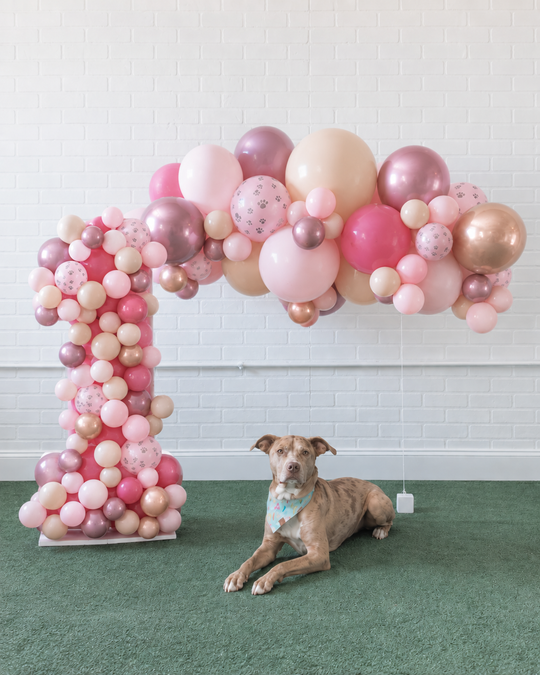 Princess Pooch - The Big Bark