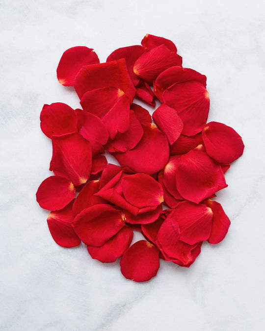 Red Rose Petals