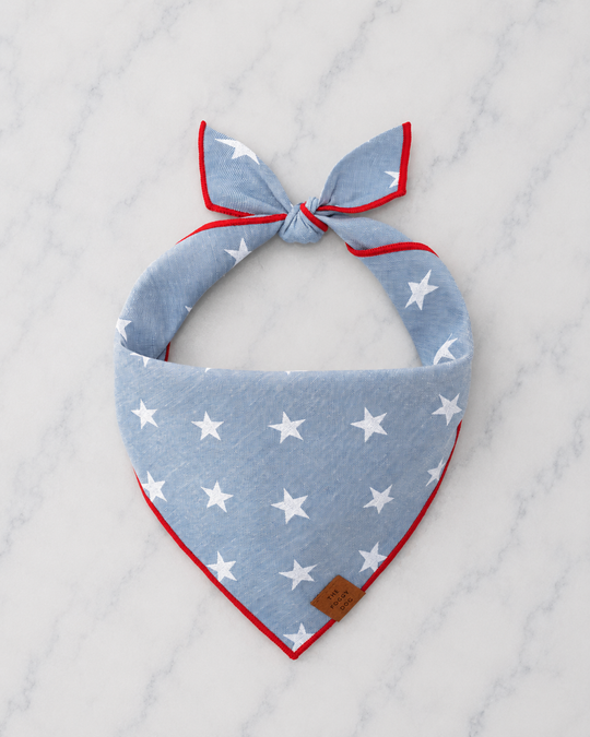 The Foggy Dog - Liberty Dog Bandana