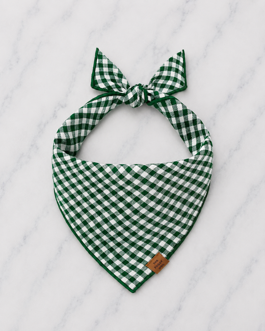 The Foggy Dog - Evergreen Gingham Dog Bandana