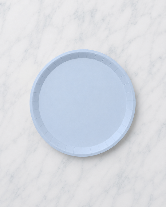 Coterie - Pale Blue Large Paper Party Plates - pack of 10