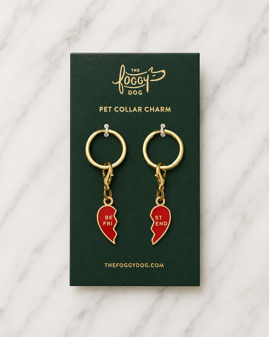 The Foggy Dog - BFF Hearts Collar Charm