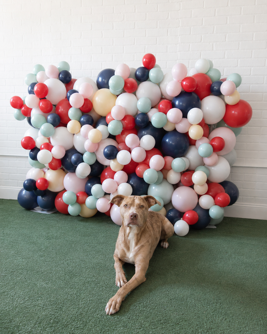 Can You Dig It - Mini Balloon Wall - 4ft