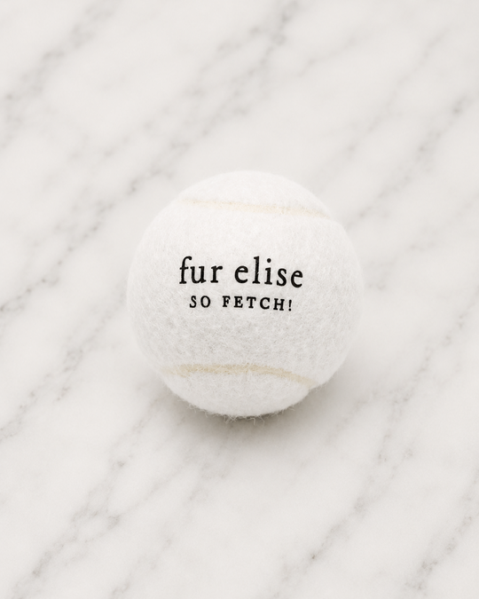 Fur Elise Pets - So Fetch! Tennis Ball - Ivory