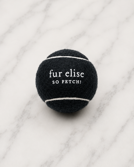 So Fetch! Tennis Ball - Noir