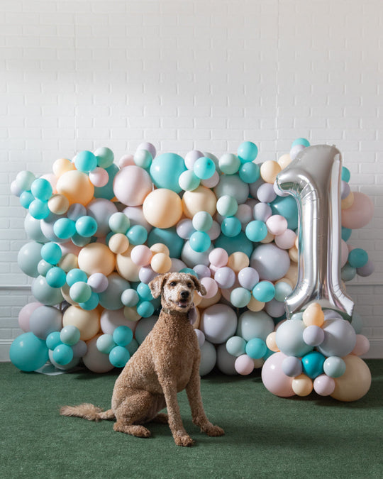 Demure Dog/Couture Cat - The Wall Wagger