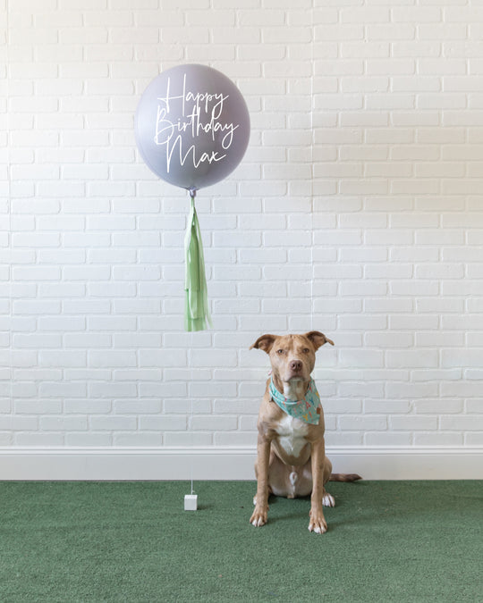 Go Fetch - Orb with Midi Skirt