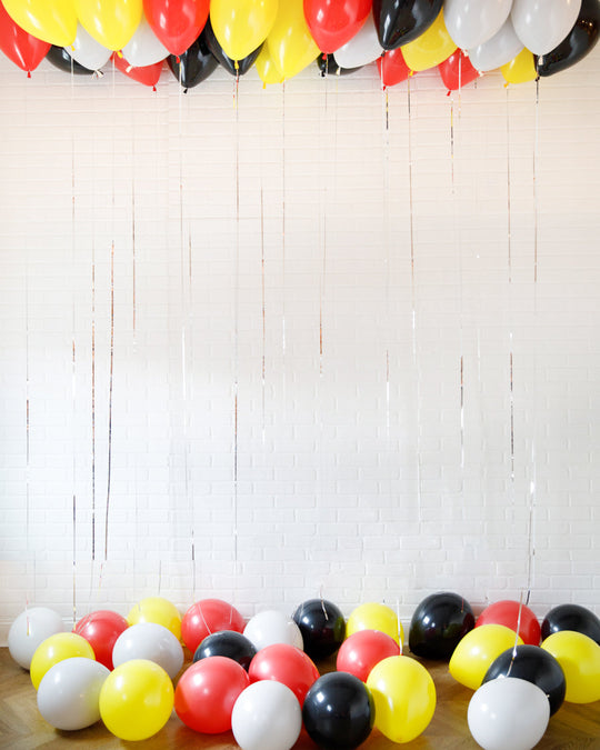 Catch Em All - Ceiling & Floor Balloons Set