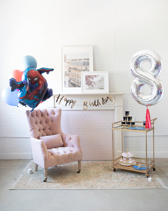 Web Slinger - The Birthday Basics Decor Set