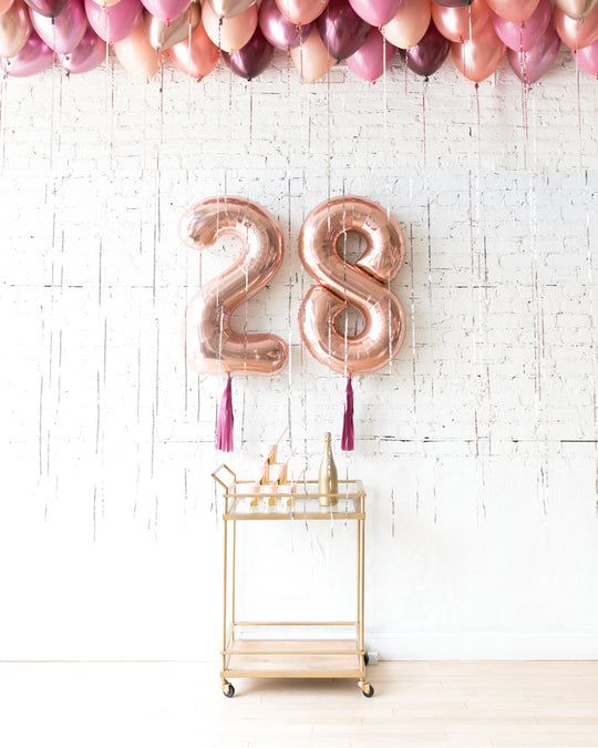 Berry Blush - Number Foils & Ceiling Balloons Set