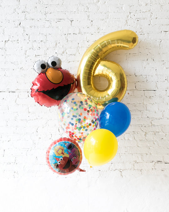 GIFT-Sesame Street Theme Number Birthday Bouquet