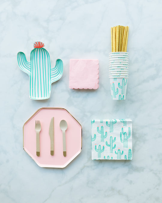 Fiesta Theme - Party Box - serves 8