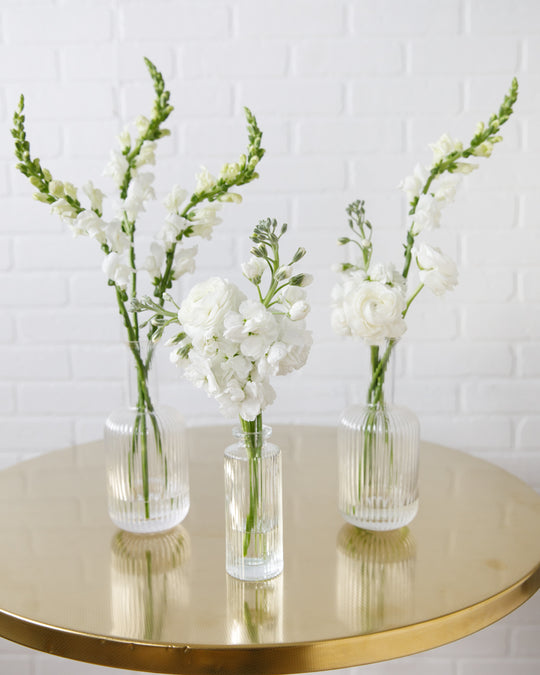 Floral Arrangements - Botanist Beauty (set of 8)
